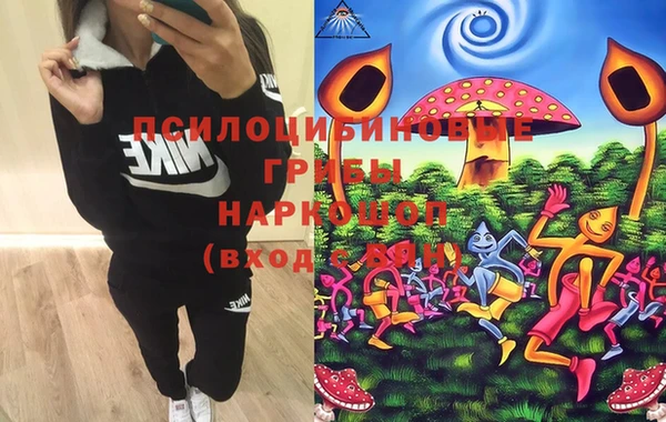 mdma Гусь-Хрустальный